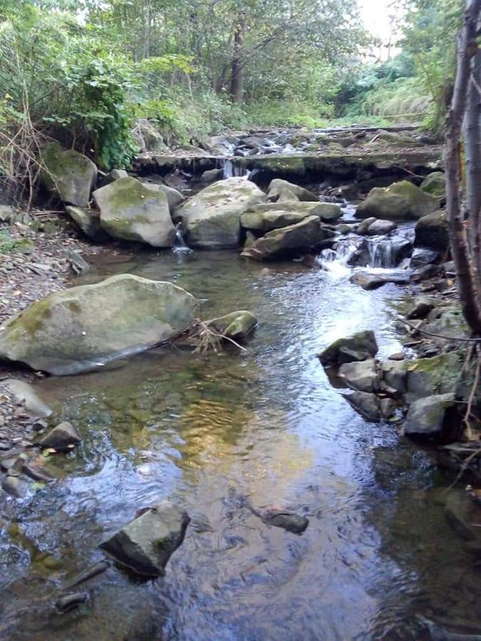 Pod Magnolia Διαμέρισμα Targanice Εξωτερικό φωτογραφία
